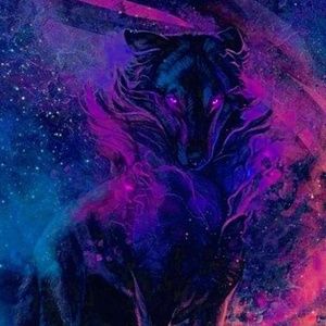 Meet your Posher, Sammy